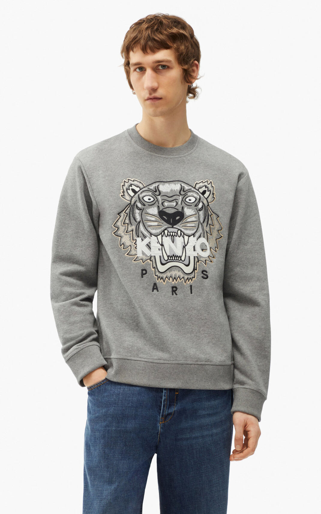 Kenzo Tiger Sweatshirt Erkek Gri | 1037-YPLRI